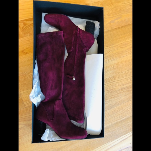 NWT Calvin Klein Collection Bordeaux Boots